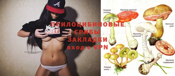 бошки Абинск